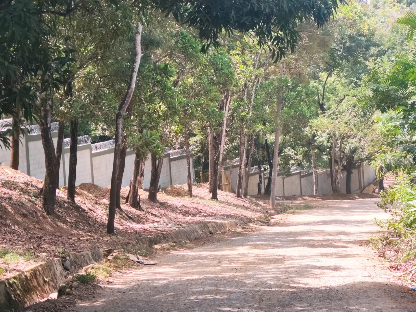 Recorrido exterior junto a la verja perimetral — proyecto MIDE en Pedro Brand