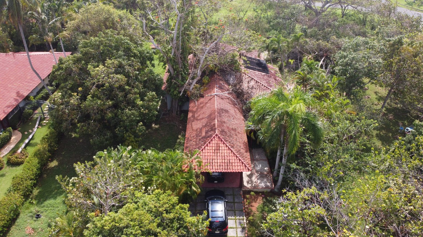 Vista del techo de la villa antes de los trabajos, con árboles y ramas sobre las tejas